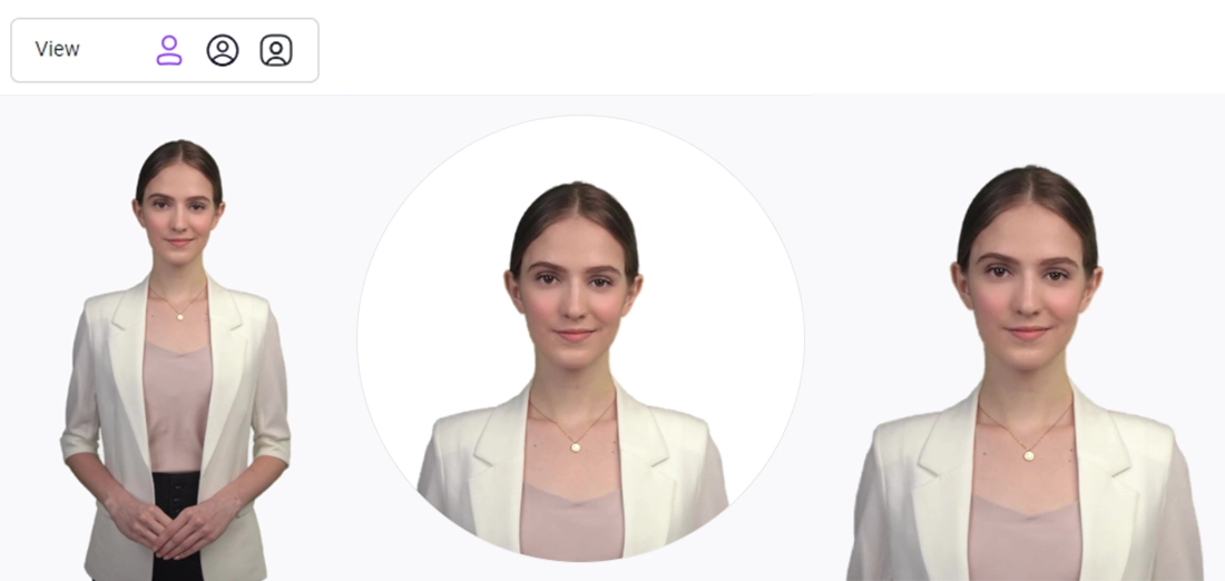 Change the Views of an Avatar